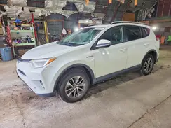 JTMRJREV4GD002429 2016 TOYOTA RAV 4