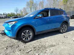 JTMRJREV4GD003211 2016 TOYOTA RAV 4