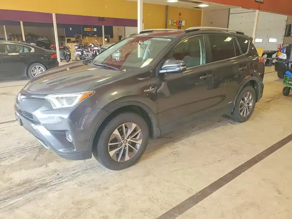 JTMRJREV4GD005508 2016 TOYOTA RAV 4 - Image 1