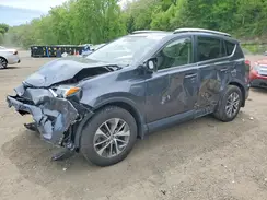JTMRJREV4GD021482 2016 TOYOTA RAV 4