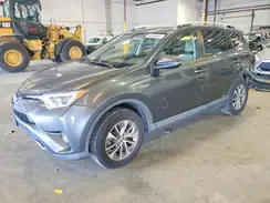 JTMRJREV4GD025175 2016 TOYOTA RAV 4