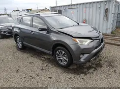JTMRJREV4GD041179 2016 TOYOTA RAV 4