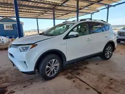 JTMRJREV4HD075057 2017 TOYOTA RAV 4