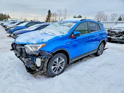 JTMRJREV4HD081943 2017 TOYOTA RAV 4