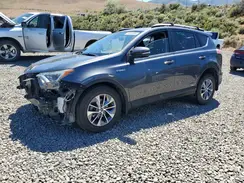 JTMRJREV4HD098225 2017 TOYOTA RAV 4