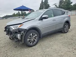 JTMRJREV4HD121213 2017 TOYOTA RAV 4