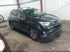 JTMRJREV4HD122507 2017 TOYOTA RAV 4