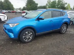 JTMRJREV4HD150839 2017 TOYOTA RAV 4