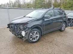 JTMRJREV4JD236495 2018 TOYOTA RAV 4