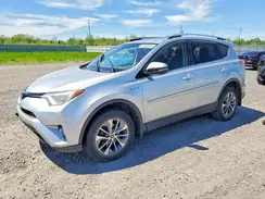 JTMRJREV5GD000849 2016 TOYOTA RAV 4