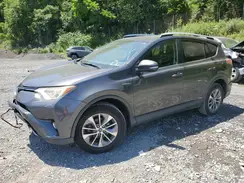JTMRJREV5GD004982 2016 TOYOTA RAV 4