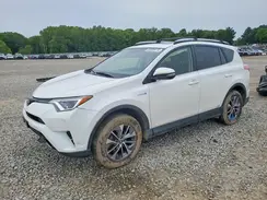 JTMRJREV5GD017196 2016 TOYOTA RAV 4