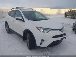 JTMRJREV5GD018591 2016 TOYOTA RAV 4