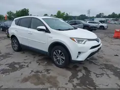 JTMRJREV5GD024827 2016 TOYOTA RAV 4