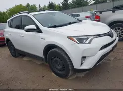 JTMRJREV5GD033320 2016 TOYOTA RAV 4