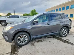 JTMRJREV5GD039697 2016 TOYOTA RAV 4