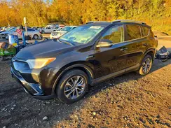 JTMRJREV5GD054345 2016 TOYOTA RAV 4