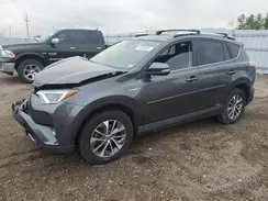 JTMRJREV5GD056628 2016 TOYOTA RAV 4