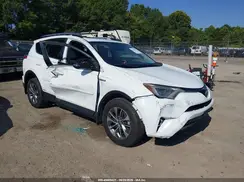 JTMRJREV5HD061135 2017 TOYOTA RAV 4
