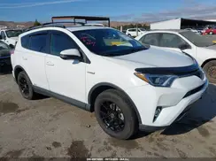 JTMRJREV5HD072295 2017 TOYOTA RAV 4