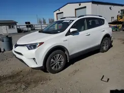 JTMRJREV5HD072443 2017 TOYOTA RAV 4