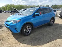JTMRJREV5HD077559 2017 TOYOTA RAV 4