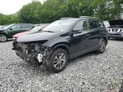JTMRJREV5HD095320 2017 TOYOTA RAV 4