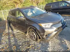 JTMRJREV5HD105991 2017 TOYOTA RAV 4