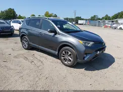 JTMRJREV5HD113556 2017 TOYOTA RAV 4