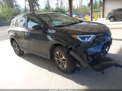 JTMRJREV5HD113699 2017 TOYOTA RAV 4