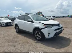 JTMRJREV5HD134908 2017 TOYOTA RAV 4
