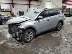 JTMRJREV5HD137565 2017 TOYOTA RAV 4