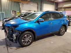 JTMRJREV5HD141678 2017 TOYOTA RAV 4