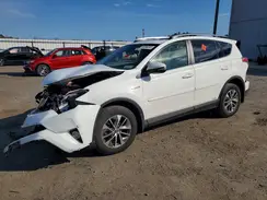 JTMRJREV5HD152034 2017 TOYOTA RAV 4