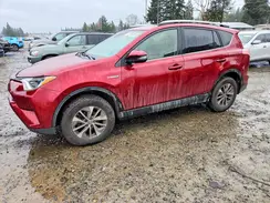 JTMRJREV5JD201450 2018 TOYOTA RAV 4