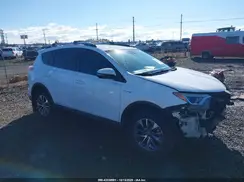 JTMRJREV5JD234206 2018 TOYOTA RAV 4