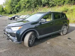 JTMRJREV5JD242726 2018 TOYOTA RAV 4