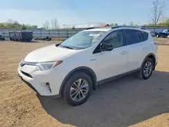 JTMRJREV6GD002447 2016 TOYOTA RAV 4