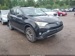 JTMRJREV6GD006417 2016 TOYOTA RAV 4