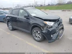 JTMRJREV6GD023296 2016 TOYOTA RAV 4