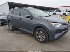JTMRJREV6GD026358 2016 TOYOTA RAV 4