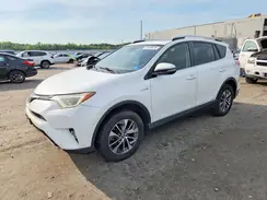 JTMRJREV6GD030250 2016 TOYOTA RAV 4