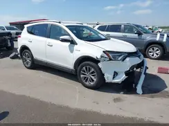 JTMRJREV6GD037487 2016 TOYOTA RAV 4