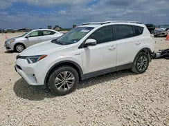 JTMRJREV6GD043256 2016 TOYOTA RAV 4