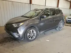 JTMRJREV6GD049641 2016 TOYOTA RAV 4