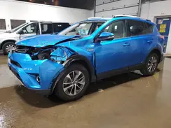 JTMRJREV6GD057125 2016 TOYOTA RAV 4