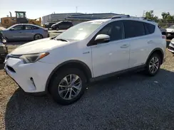 JTMRJREV6GD059070 2016 TOYOTA RAV 4
