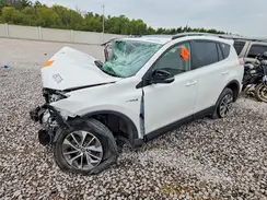 JTMRJREV6HD074797 2017 TOYOTA RAV 4