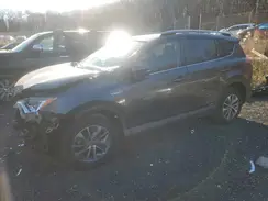 JTMRJREV6HD076453 2017 TOYOTA RAV 4