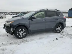 JTMRJREV6HD080454 2017 TOYOTA RAV 4